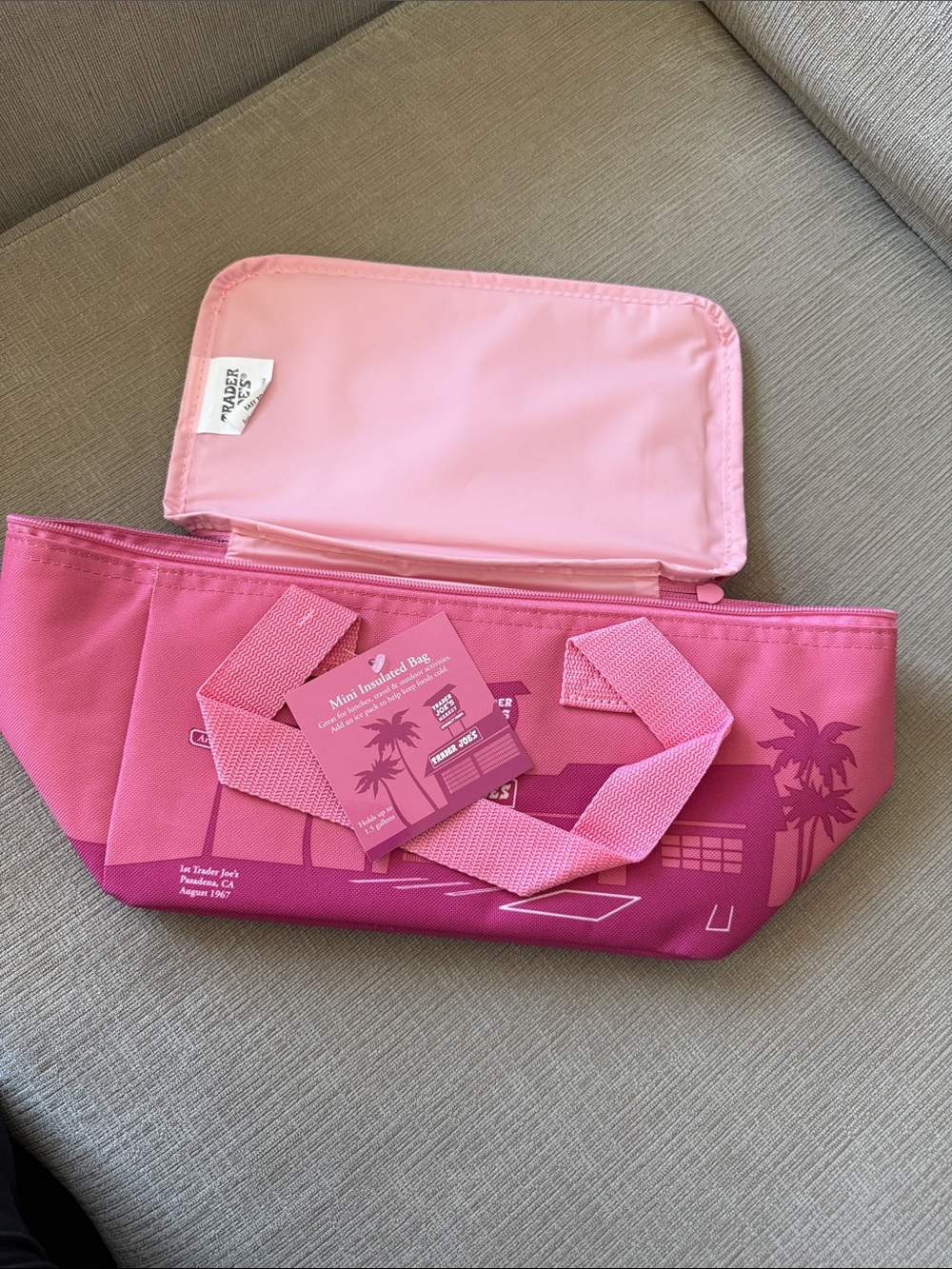 Trader Joe’s Mini Insulated Tote